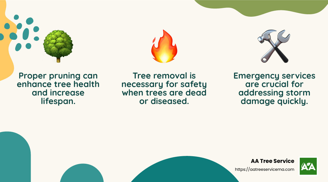 Quick response to storm damage is crucial for safety - arlington tree service infographic 3_facts_emoji_nature