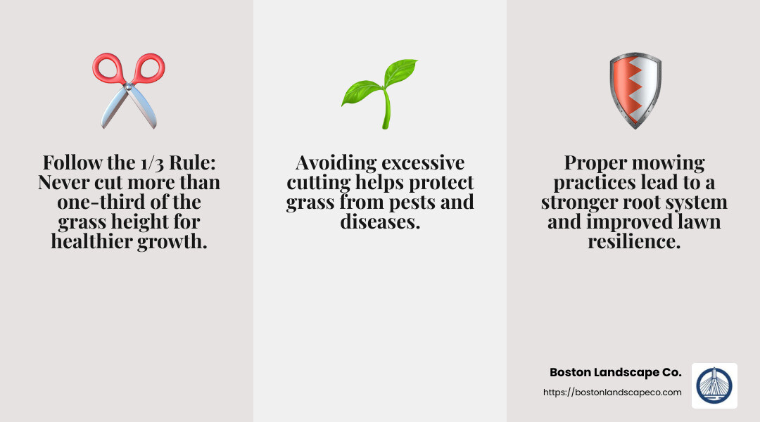 The Importance of the 1/3 Rule in Lawn Care - professional lawn care services infographic 3_facts_emoji_grey