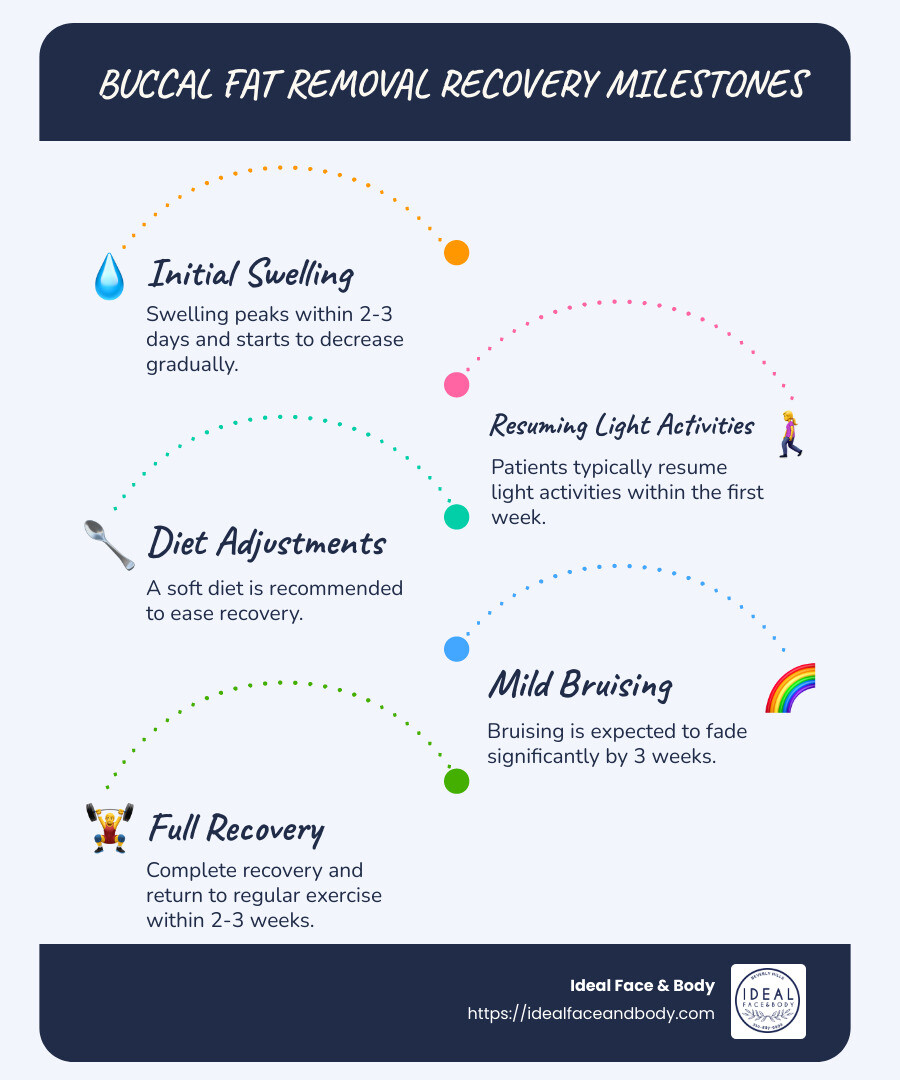 A comprehensive checklist for buccal fat removal recovery illustrating key recovery milestones at various time intervals, including the use of ice packs, dietary adjustments, activity timelines, and expectations for swelling and bruising - buccal fat removal downtime infographic infographic-line-5-steps-blues-accent_colors