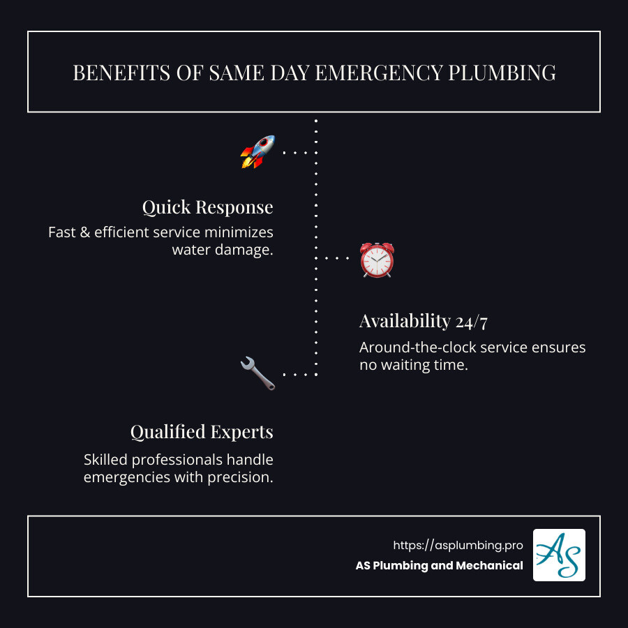 A detailed infographic showing the benefits and process of securing same-day emergency plumbing services, highlighting speed of service, availability in different locations, and types of services offered. - emergency plumbing same day infographic infographic-line-3-steps-dark