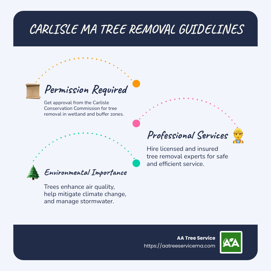 Infographic detailing Carlisle MA tree removal guidelines and environmental importance - Carlisle MA Tree Removal infographic infographic-line-3-steps-blues-accent_colors