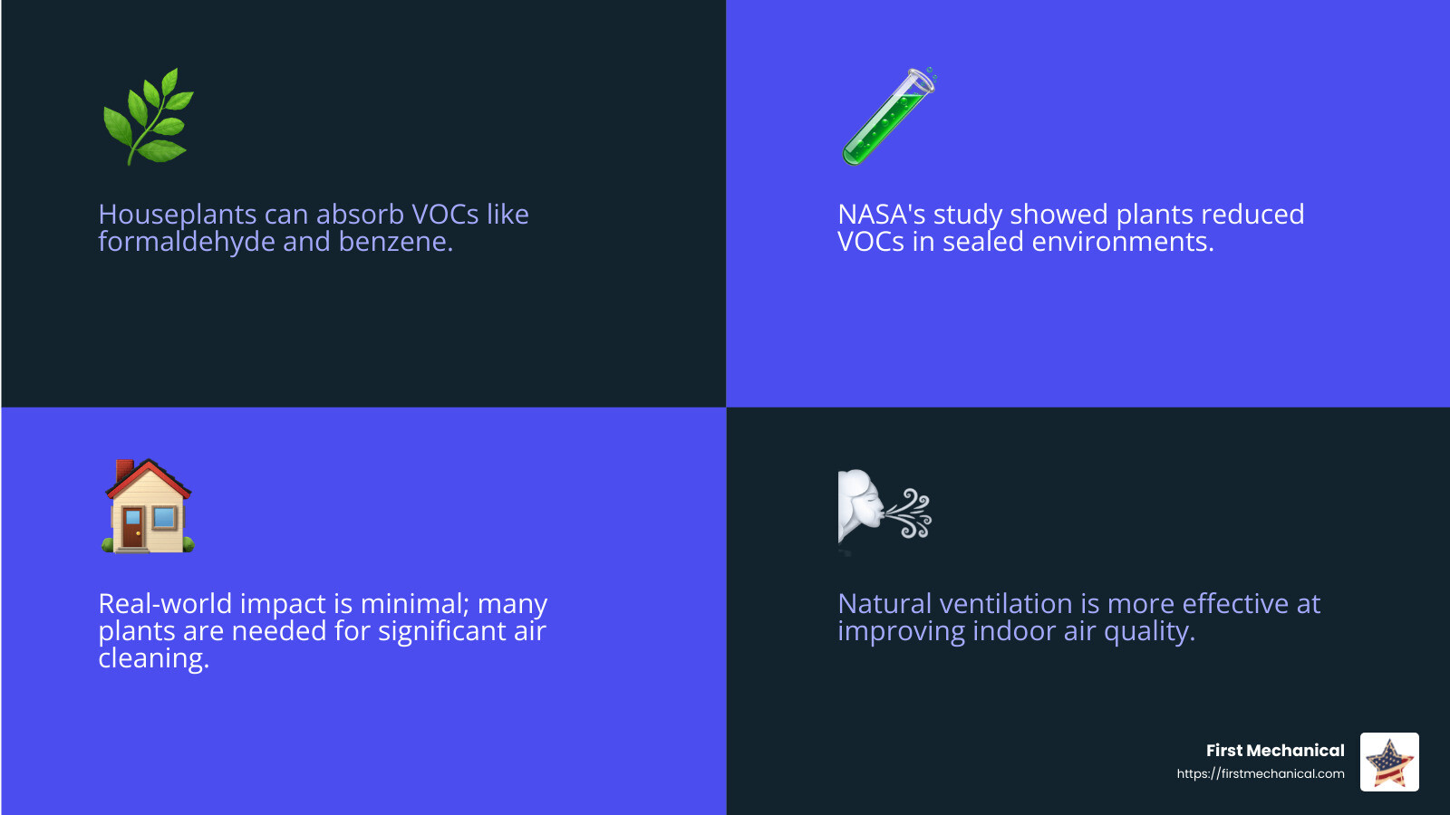 NASA Study Findings - houseplants improve air quality infographic 4_facts_emoji_blue