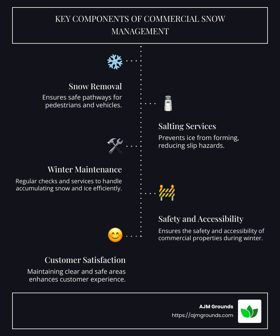 Commercial Snow Management Service Overview - commercial snow management acton ma infographic infographic-line-5-steps-dark