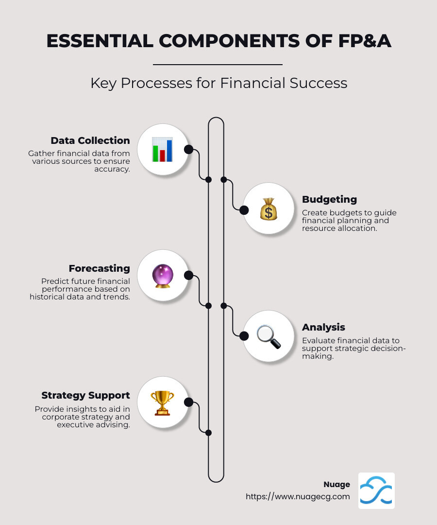 Detailed infographic showing the essential components and importance of FP&A - financial planning and analysis infographic infographic-line-5-steps-neat_beige