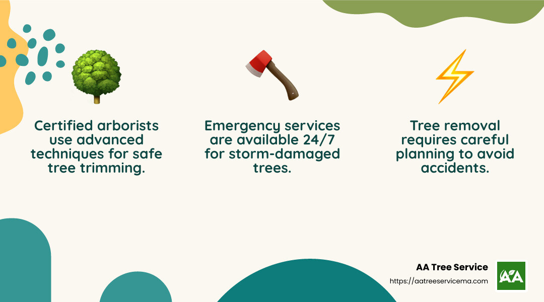 Certified arborists ensure tree health and safety - tree trimming newton ma infographic 3_facts_emoji_nature