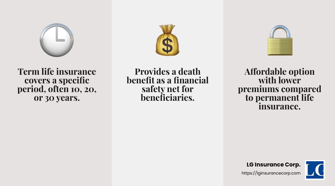 Death benefit provides financial protection for families - miami term life insurance infographic 3_facts_emoji_grey