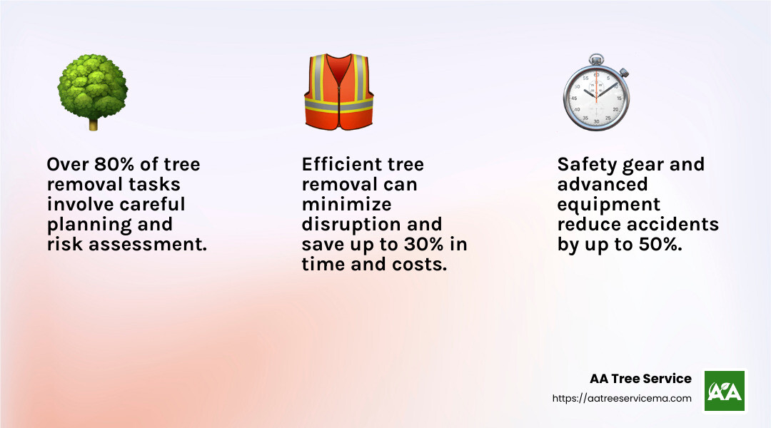Safety is a top priority at AA Tree Service - Windham NH tree removal infographic 3_facts_emoji_light-gradient Safety is a top priority at AA Tree Service - Windham NH tree removal infographic 3_facts_emoji_light-gradient