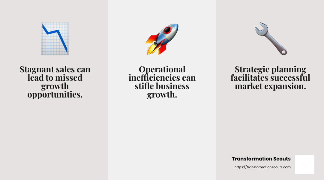 Operational Efficiency Improvement - business growth consultancy infographic 3_facts_emoji_grey