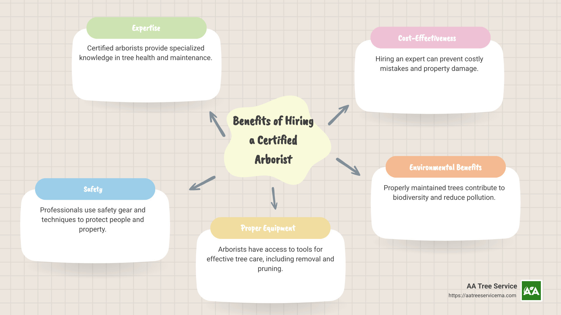 Infographic detailing benefits of hiring a certified arborist - certified arborist tree service near me infographic mindmap-5-items