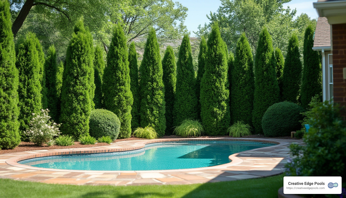Living fence for privacy - Backyard pool landscaping ideas