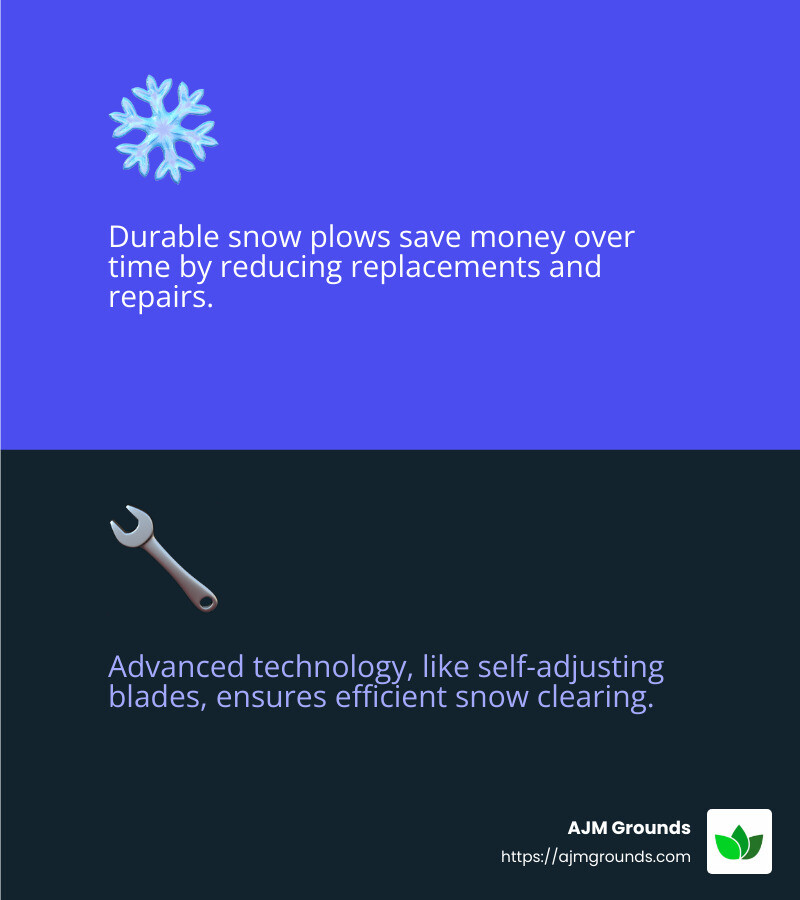 Snow Plow Showdown: Best Options for Residential Use Durable and Advanced Snow Plow Features - best residential snow plow infographic 2_facts_emoji_blue