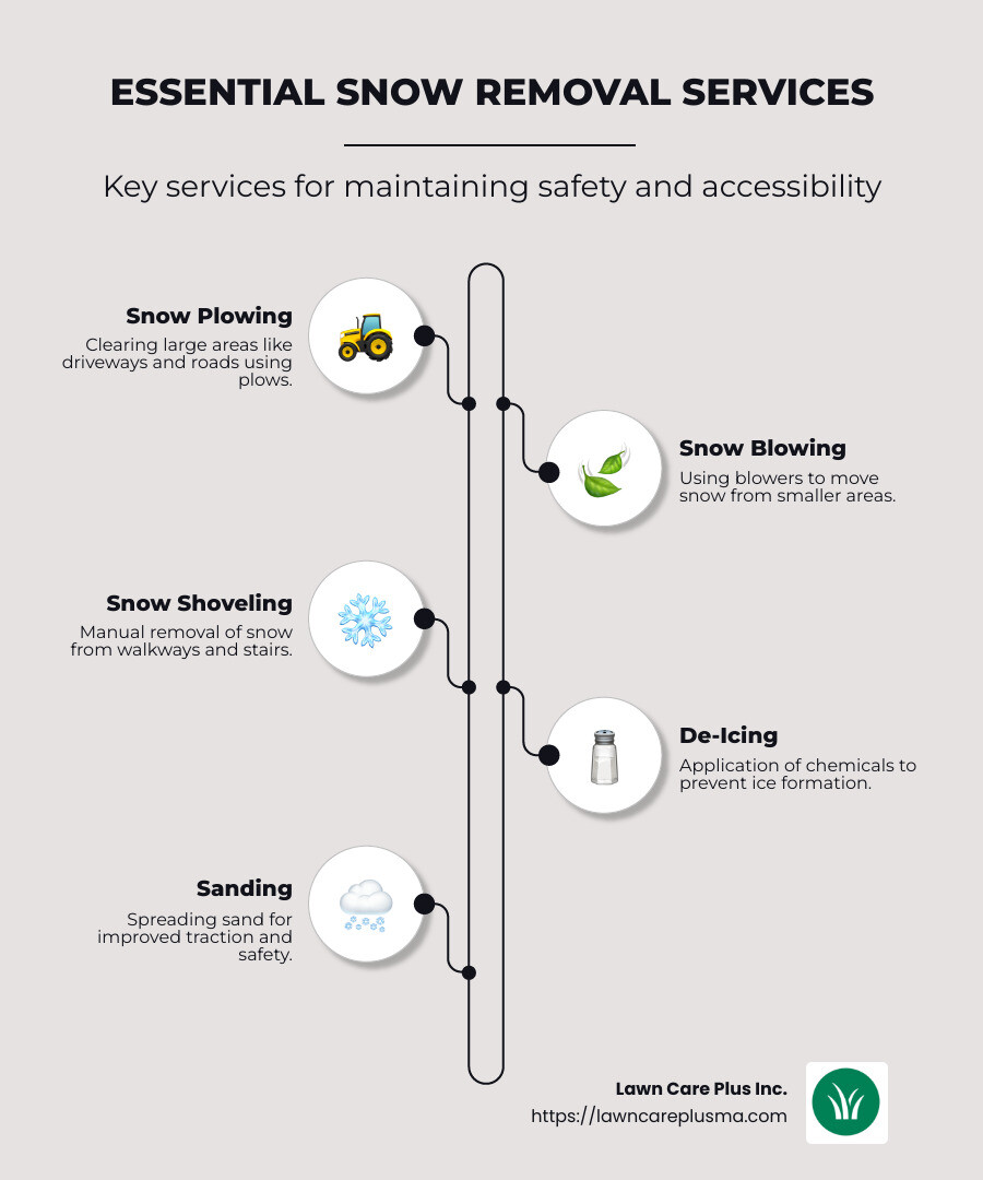 Infographic detailing snow removal services including plowing, snow blowing, shoveling, de-icing, and sanding, emphasizing the importance and safety aspects of each service, with icons representing each type of service. - snow removal service infographic infographic-line-5-steps-neat_beige