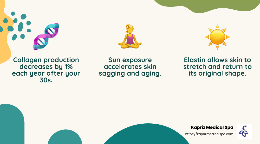 Collagen and Elastin Decline with Age - skin tightening Jacksonville infographic 3_facts_emoji_nature Collagen and Elastin Decline with Age - skin tightening Jacksonville infographic 3_facts_emoji_nature