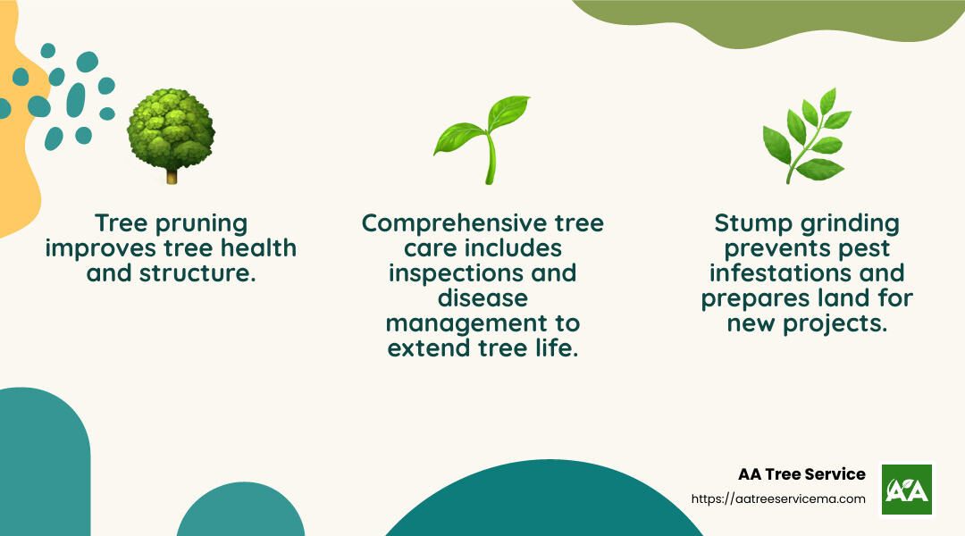 Tree care infographic - tree service new hampshire infographic 3_facts_emoji_nature Tree care infographic - tree service new hampshire infographic 3_facts_emoji_nature