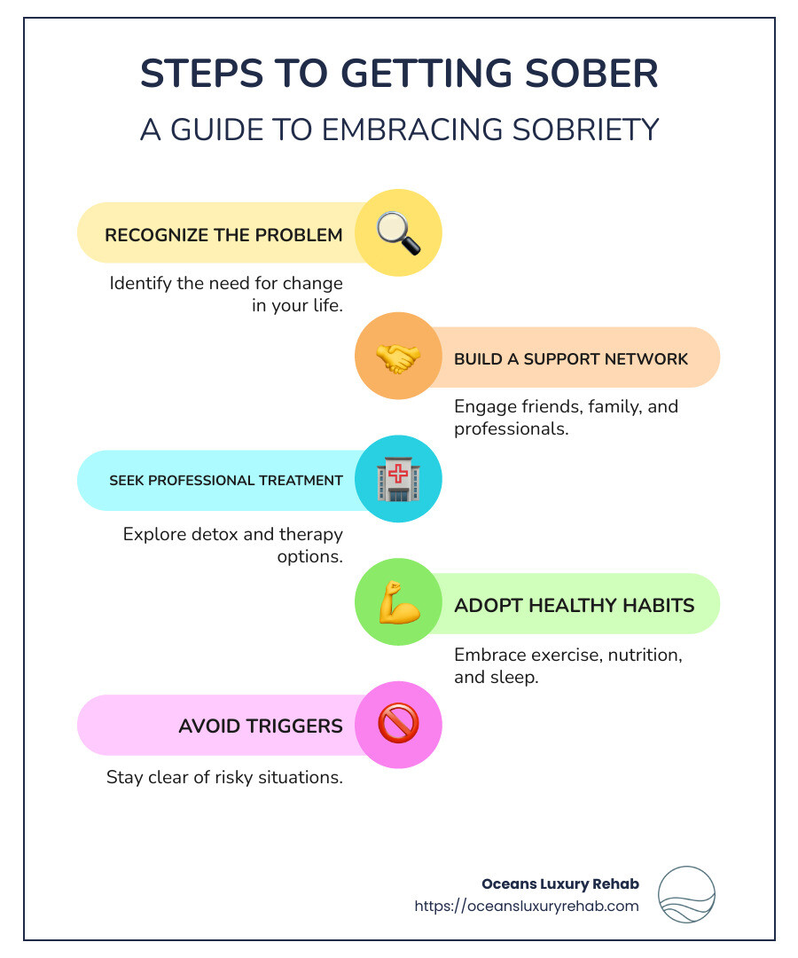 Steps to Getting Sober Infographic - Recognize, Build Support, Seek Treatment, Adopt Healthy Habits, Avoid Triggers - How to get sober? infographic infographic-line-5-steps-colors