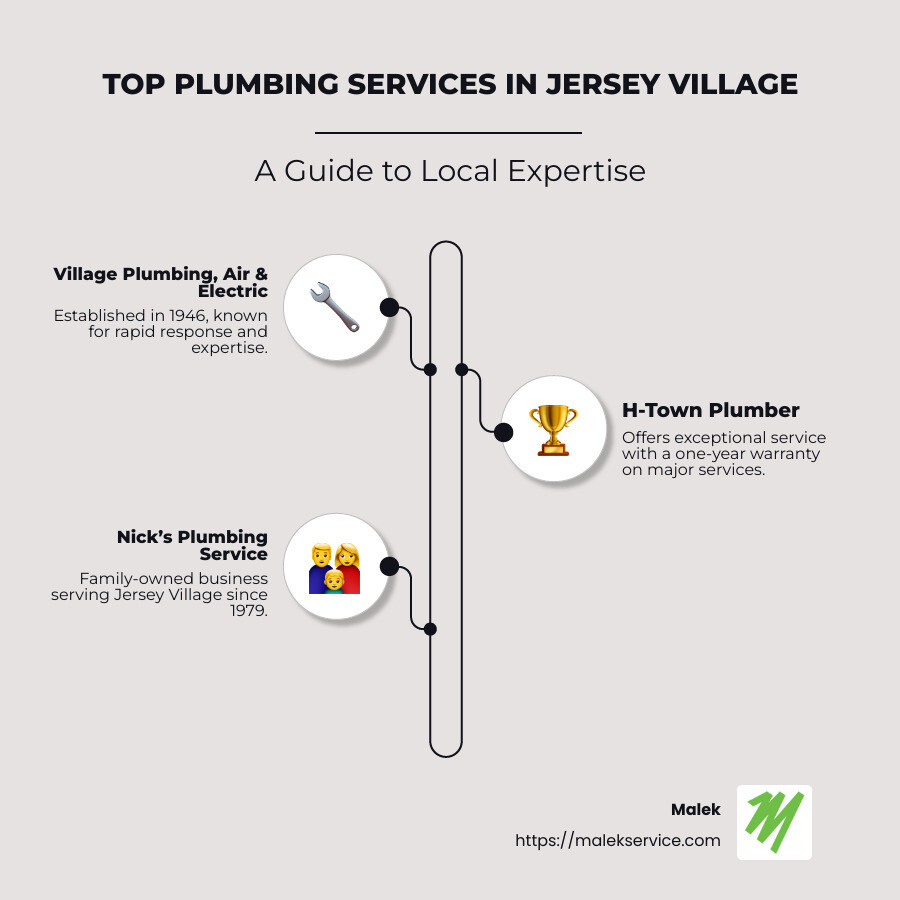 Overview of Top Plumbers in Jersey Village - plumber jersey village infographic infographic-line-3-steps-neat_beige