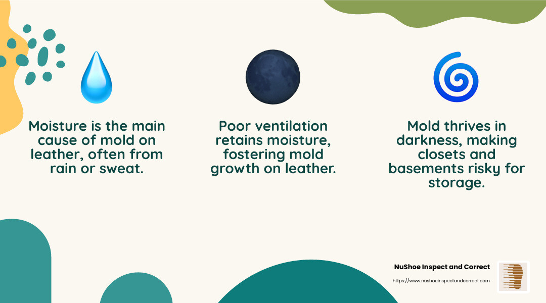 Moisture, Darkness, and Poor Ventilation are the main causes of mold on leather. - how to get mold off leather infographic 3_facts_emoji_nature