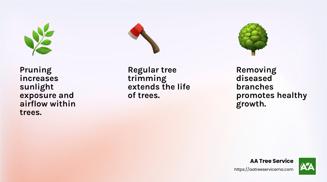Pruning improves tree health by removing diseased branches - local tree trimming companies infographic 3_facts_emoji_light-gradient Pruning improves tree health by removing diseased branches - local tree trimming companies infographic 3_facts_emoji_light-gradient