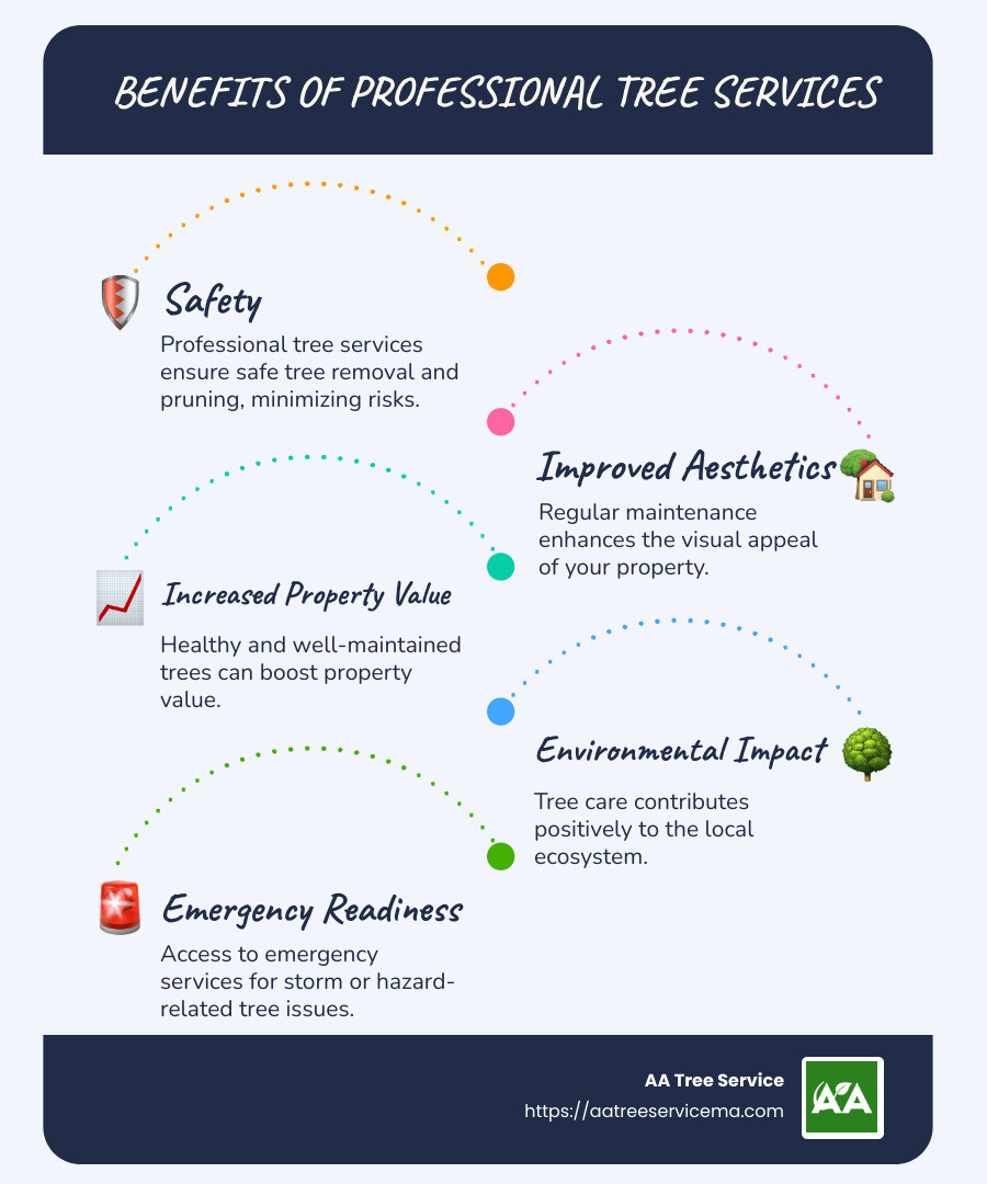 Tree Services and Benefits in Andover, MA - tree service andover ma infographic infographic-line-5-steps-blues-accent_colors