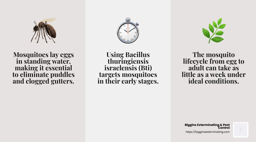 Mosquito Lifecycle Infographic - Tewksbury mosquito control infographic 3_facts_emoji_grey