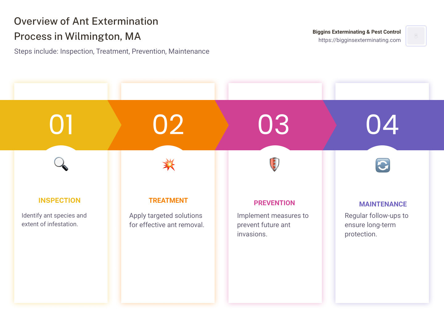 Overview of ant extermination process in Wilmington MA. Steps include: Inspection, Treatment, Prevention, Maintenance. Emphasizes benefits of professional service over DIY methods. Highlights local expertise and fast response times for Wilmington residents. - ant exterminator wilmington ma infographic pillar-4-steps Overview of ant extermination process in Wilmington MA. Steps include: Inspection, Treatment, Prevention, Maintenance. Emphasizes benefits of professional service over DIY methods. Highlights local expertise and fast response times for Wilmington residents. - ant exterminator in wilmington ma infographic pillar-4-steps