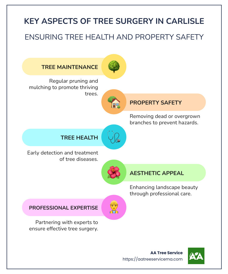 Tree Surgery Benefits Infographic - tree surgery carlisle infographic infographic-line-5-steps-colors Tree Surgery Benefits Infographic - tree surgery carlisle infographic infographic-line-5-steps-colors