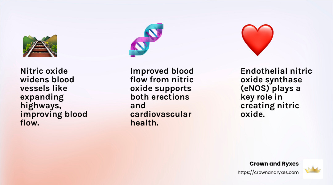 Nitric oxide helps relax blood vessels and increases blood flow, essential for erections. - can nitric oxide help erectile dysfunction infographic 3_facts_emoji_light-gradient