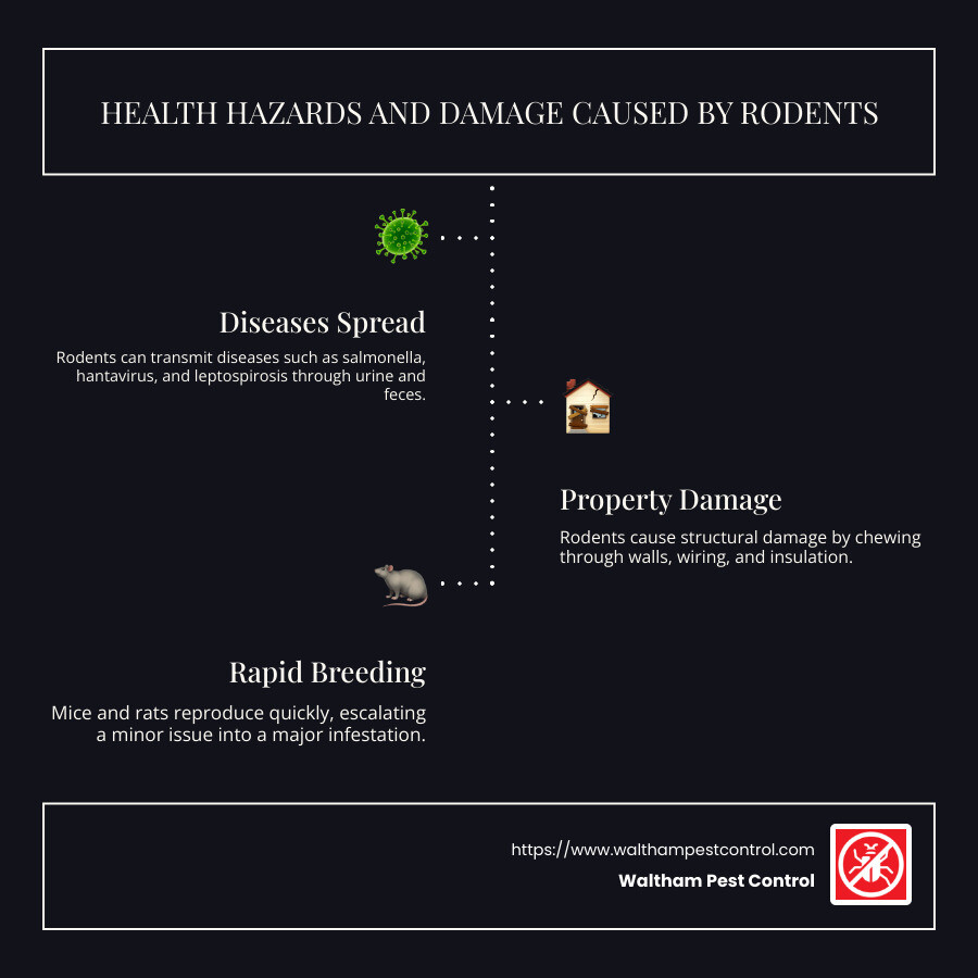 Infographic detailing health hazards and property damage caused by rodents: Diseases spread by rodents include salmonella, hantavirus, monkeypox, with possible pathways like urine and feces. Rodents' destructive behavior: damage to structural wiring, insulation, and unexplained gnaw marks. Emphasis: urgent need for chemical solutions in controlling rodent populations. - chemical control of rodents infographic infographic-line-3-steps-dark