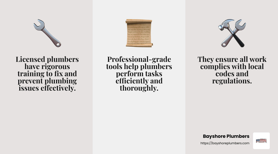 Infographic explaining the benefits of hiring a licensed plumber - licensed plumber Redwood City infographic 3_facts_emoji_grey