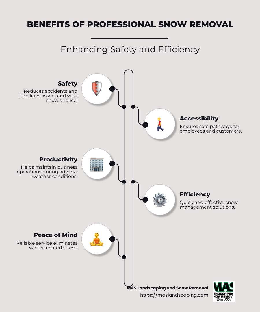 Benefits of professional snow removal: safety, accessibility, liability reduction, maintaining operations with tech-enabled solutions. - commercial snow removal company infographic infographic-line-5-steps-neat_beige