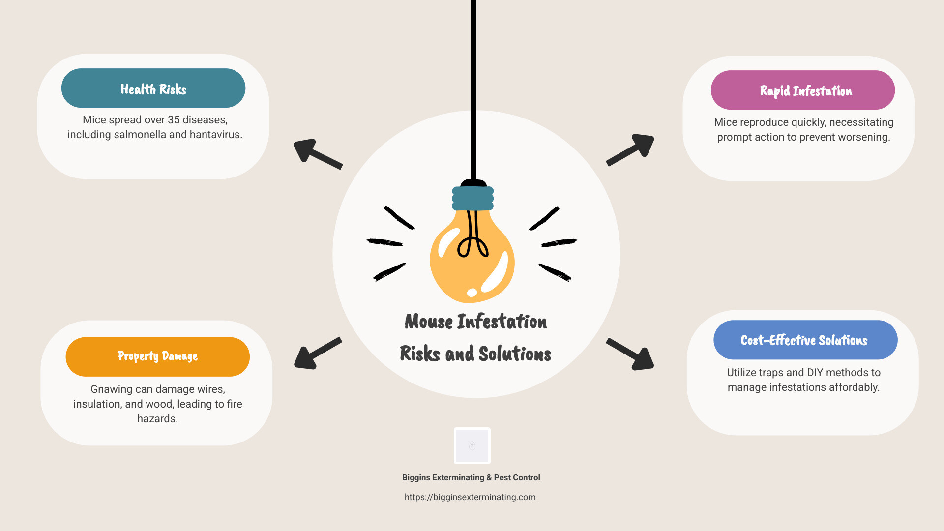 A detailed infographic illustrating health risks of a mouse infestation, types of diseases spread, common areas of damage in homes, and quick first steps for containment. - cheap mouse exterminator infographic brainstorm-4-items
