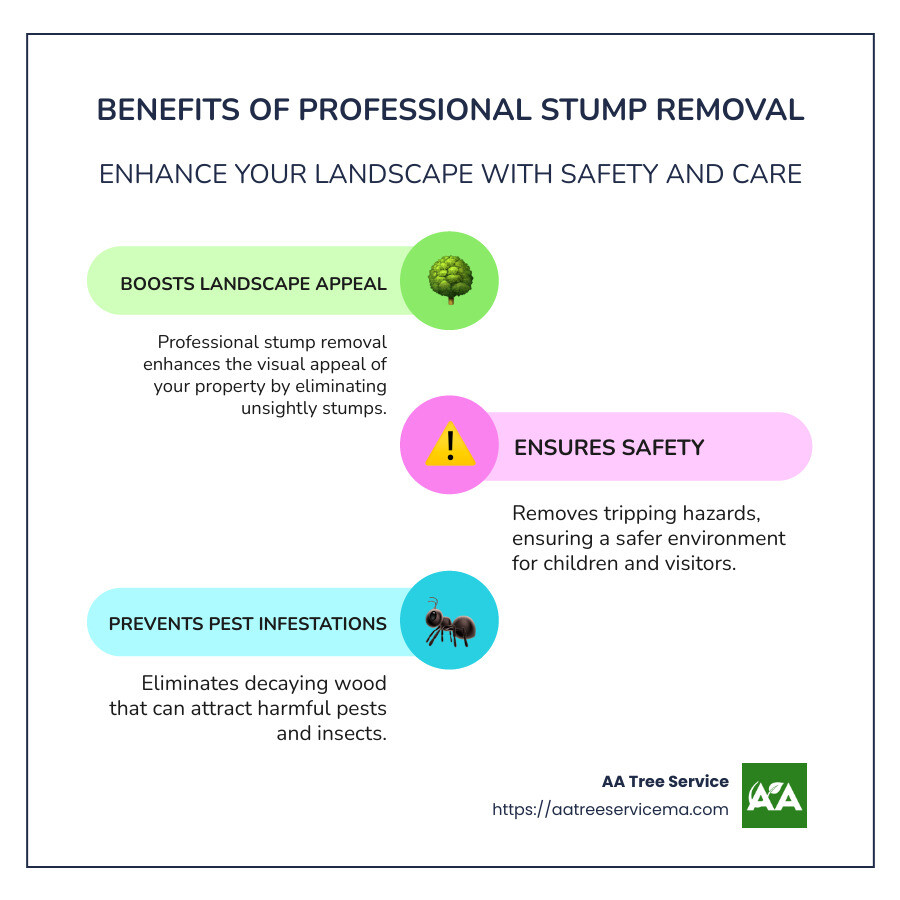 Benefits of Professional Stump Removal: Clean, Safe, Aesthetic - local stump removal service infographic infographic-line-3-steps-colors
