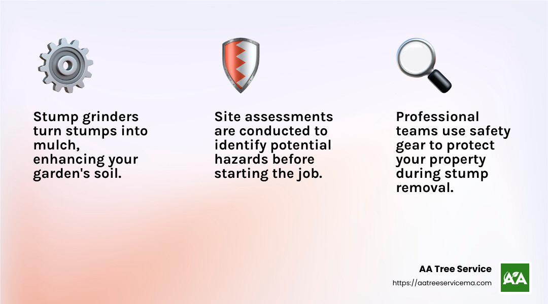 Safety First: Why Professional Stump Removal Matters - local stump removal service infographic 3_facts_emoji_light-gradient