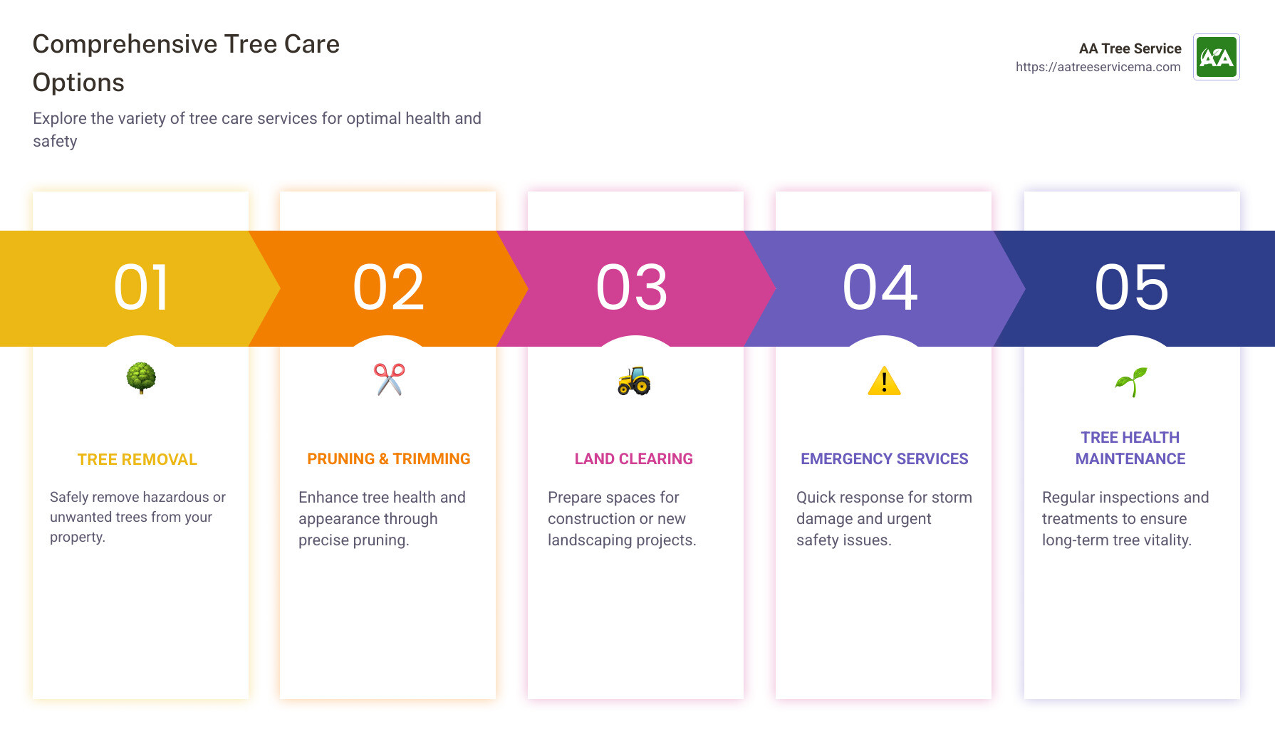 tree care options infographic showing services such as tree removal, pruning, land clearing, and emergency response services - tree care services infographic pillar-5-steps