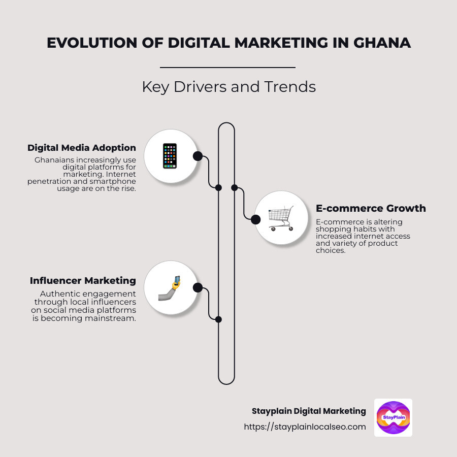 Digital Marketing Evolution in Ghana Infographic - evolution of digital marketing in ghana infographic infographic-line-3-steps-neat_beige