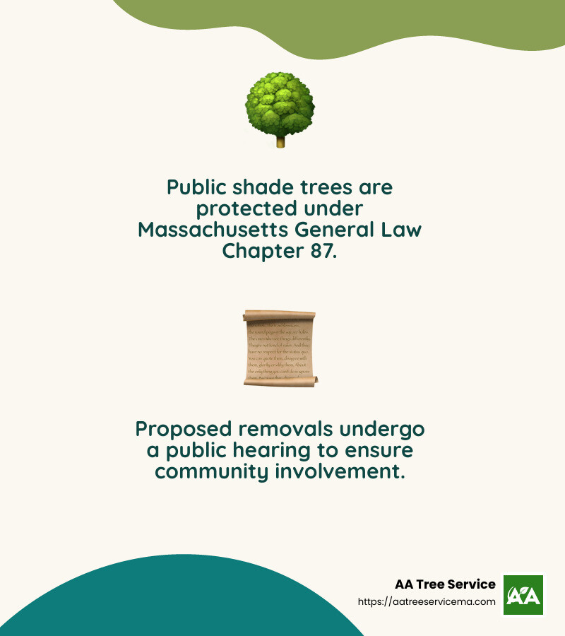 Understanding the importance of public shade trees - boston tree removal infographic 2_facts_emoji_nature