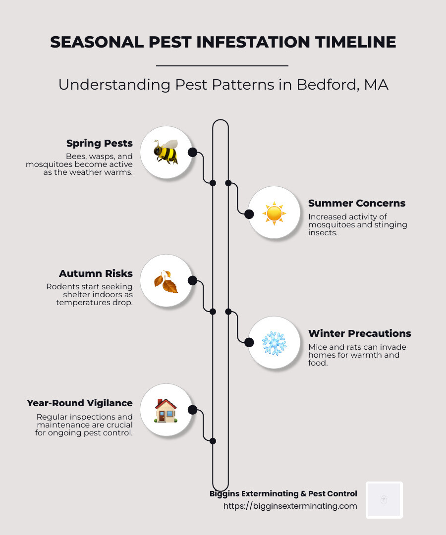 Seasonal Pest Infestation Timeline - Exterminator Bedford MA infographic infographic-line-5-steps-neat_beige