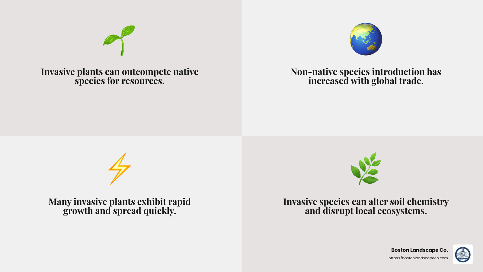 Ecological impact of invasive plants - invasive plant removal companies near me infographic 4_facts_emoji_grey