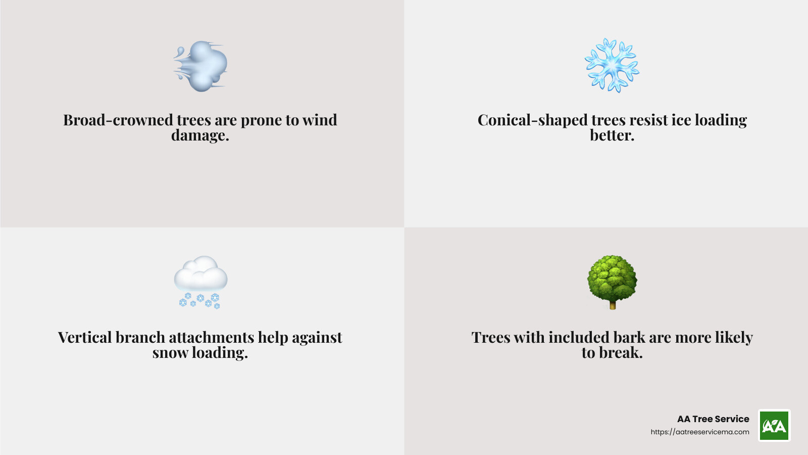 Tree Susceptibility Factors - storm damaged infographic 4_facts_emoji_grey