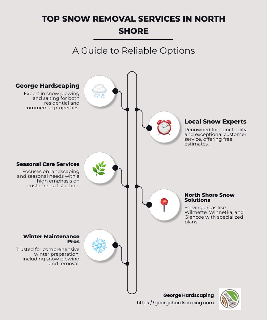 Snow Removal Options Infographic - Snow Removal Services North Shore infographic infographic-line-5-steps-neat_beige
