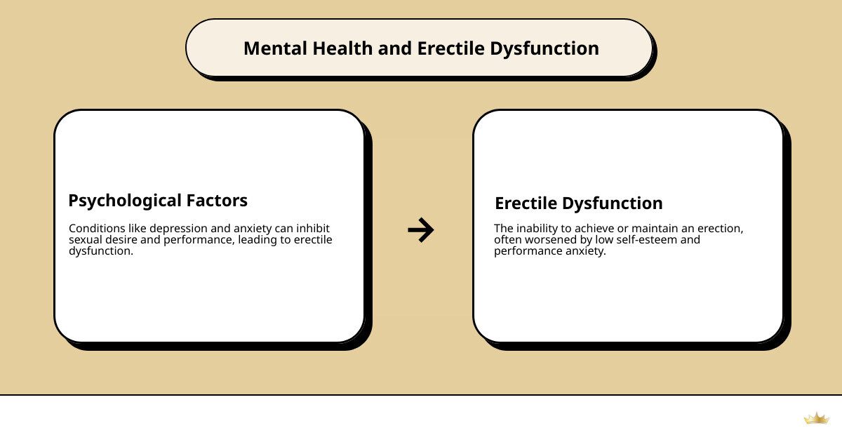 Factors connecting erectile dysfunction with mental health - erectile dysfunction and mental health infographic cause_effect_text