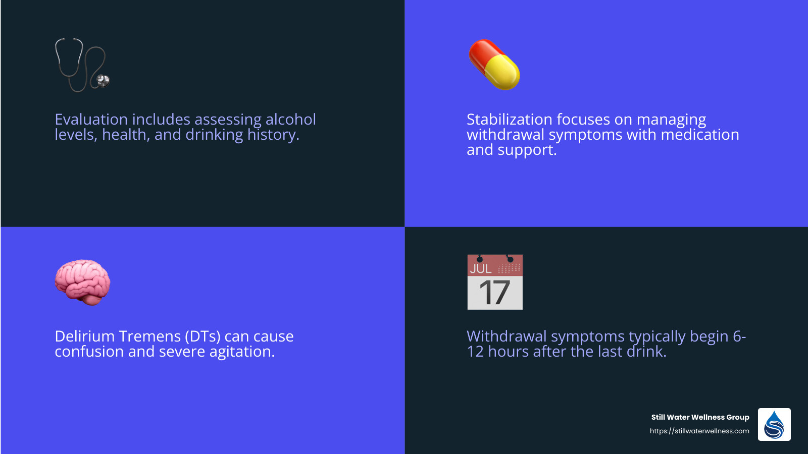 Symptoms of Alcohol Withdrawal - detox from alcohol infographic 4_facts_emoji_blue