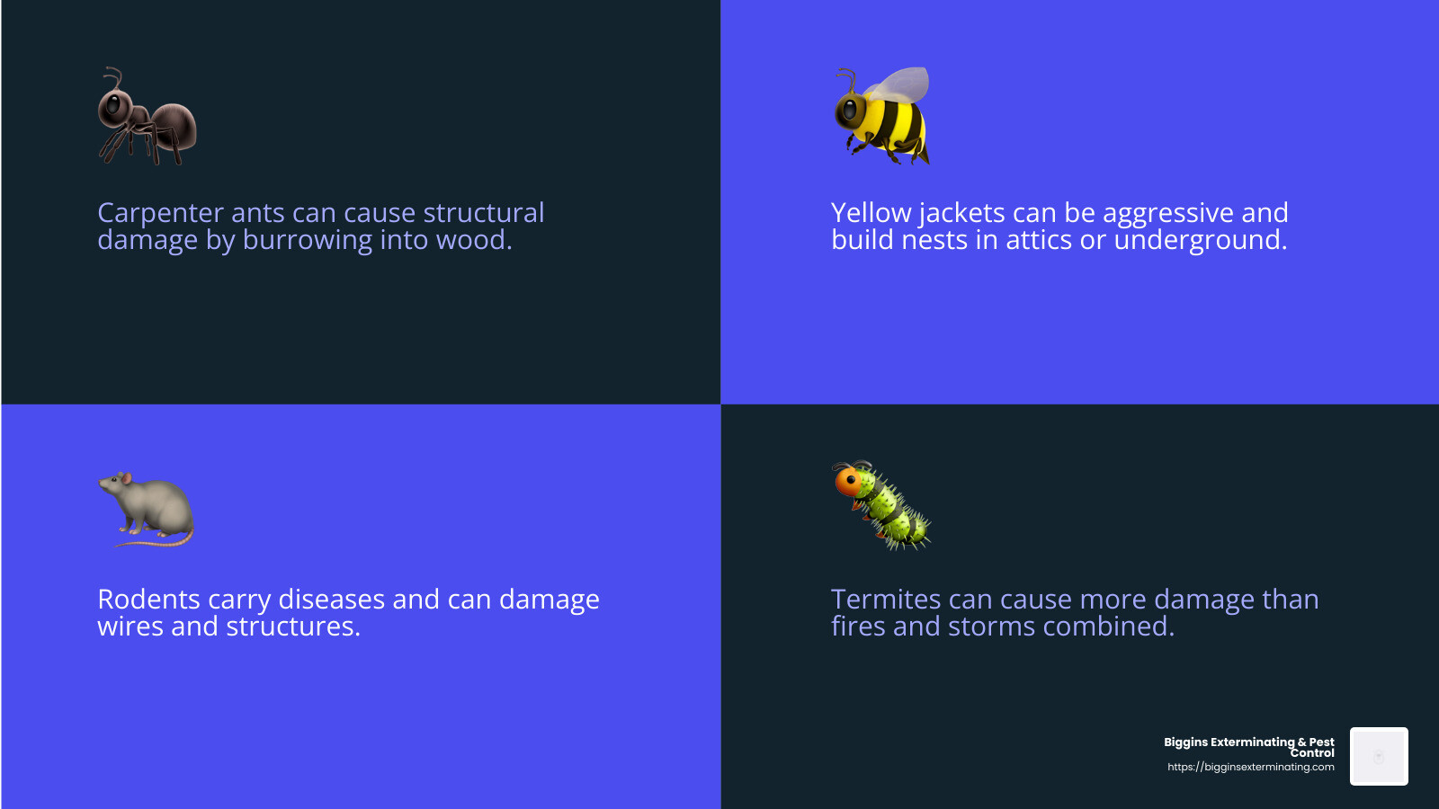 Infographic on Common Pests in Tewksbury - pest control Tewksbury infographic 4_facts_emoji_blue
