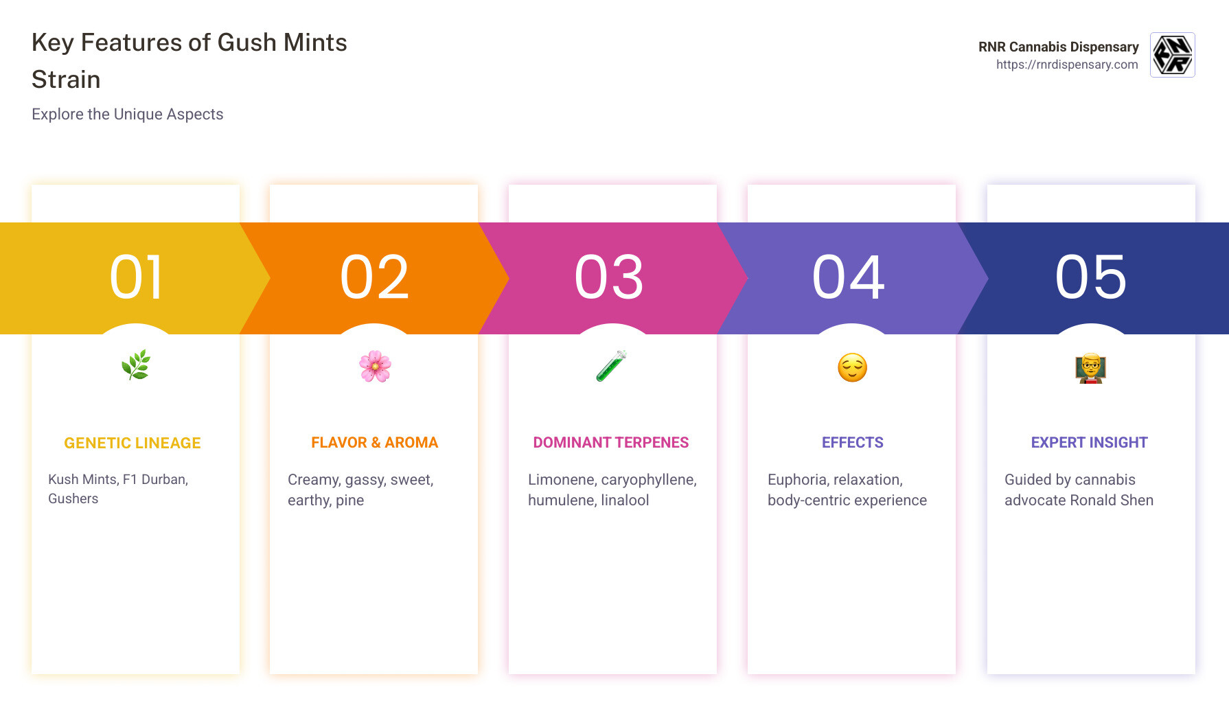 Infographic on Gush Mints Features - gush mints strain infographic pillar-5-steps Infographic on Gush Mints Features - gush mints strain infographic pillar-5-steps