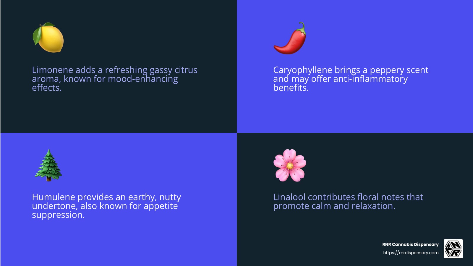 Terpene Profile Infographic - gush mints strain infographic 4_facts_emoji_blue Terpene Profile Infographic - gush mints strain infographic 4_facts_emoji_blue