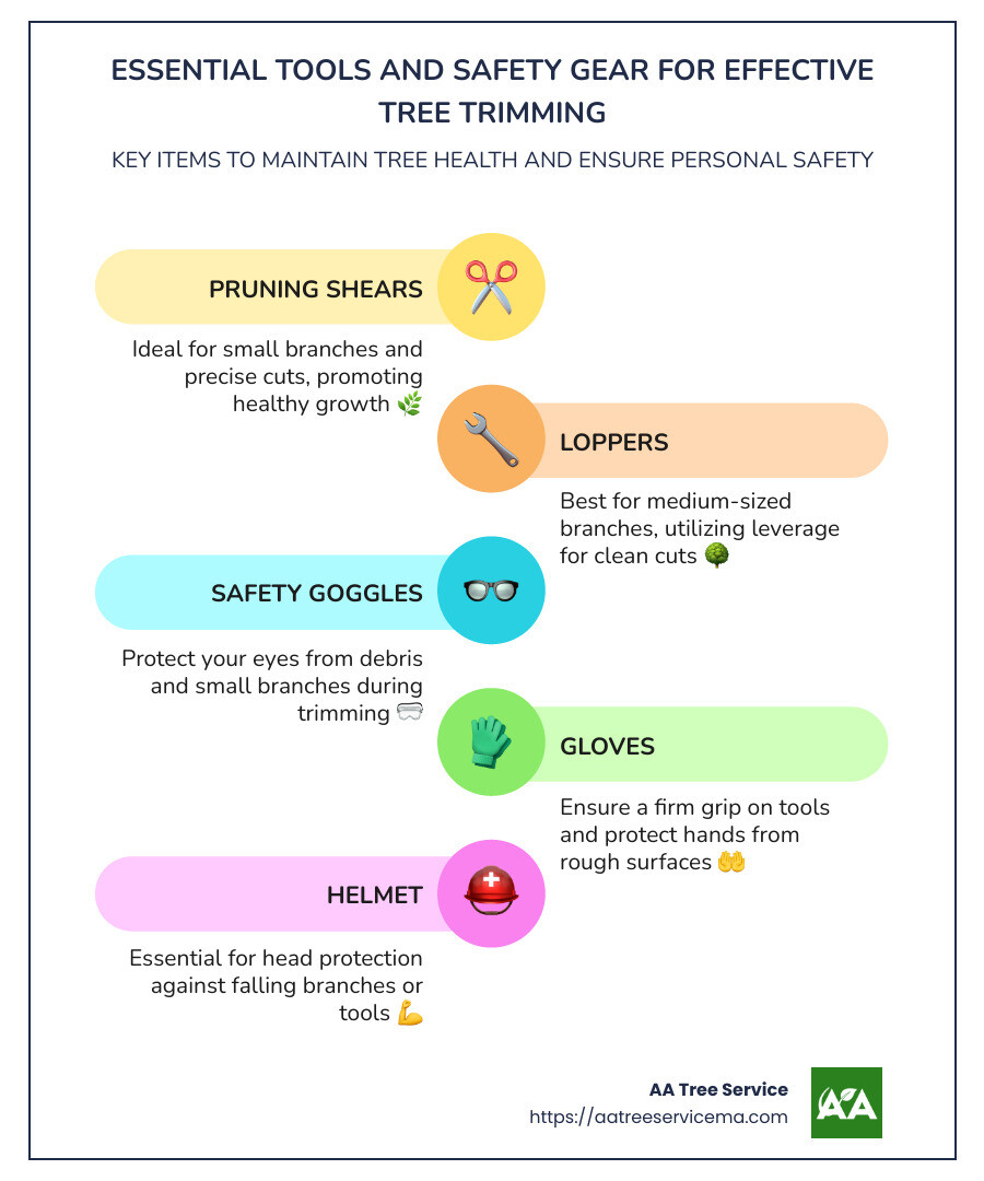 Tree trimming safety infographic showing the key tools and safety gear needed for effective trimming practices; includes visuals of pruning shears, loppers, safety goggles, gloves, and helmet. Emphasizes the importance of correct tool use and personal protection to maintain tree health and prevent personal injury. - tree trimming Reading MA infographic infographic-line-5-steps-colors Tree trimming safety infographic showing the key tools and safety gear needed for effective trimming practices; includes visuals of pruning shears, loppers, safety goggles, gloves, and helmet. Emphasizes the importance of correct tool use and personal protection to maintain tree health and prevent personal injury. - tree trimming Reading MA infographic infographic-line-5-steps-colors