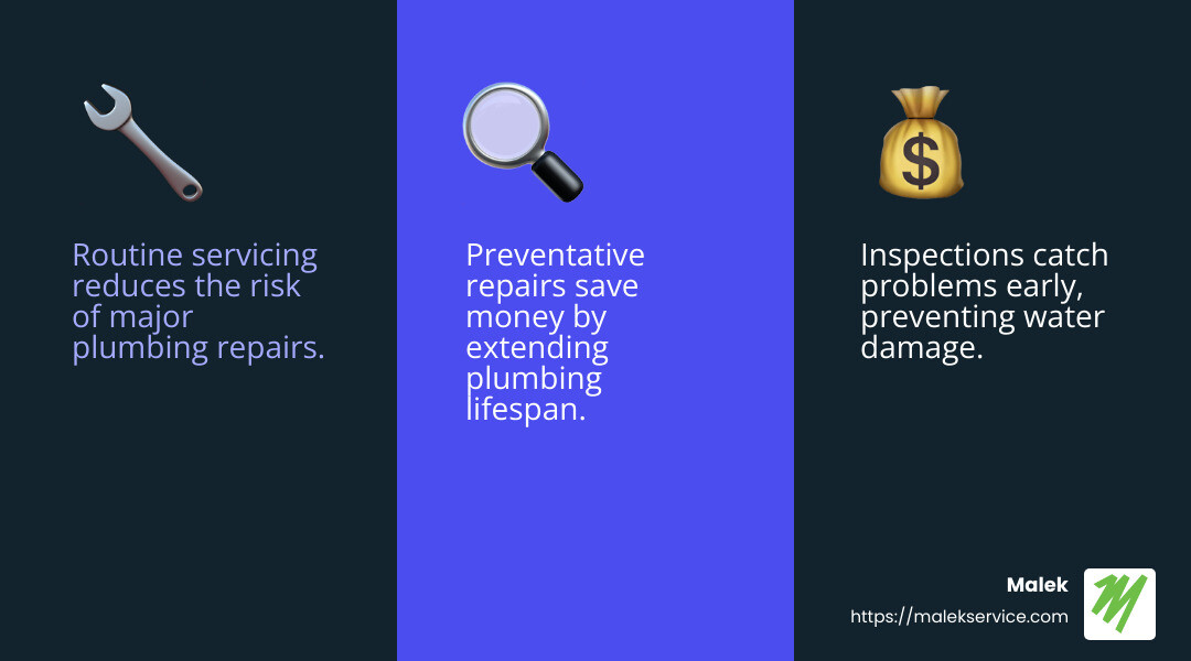 Preventative care saves money and time - plumbing maintenance college station infographic 3_facts_emoji_blue