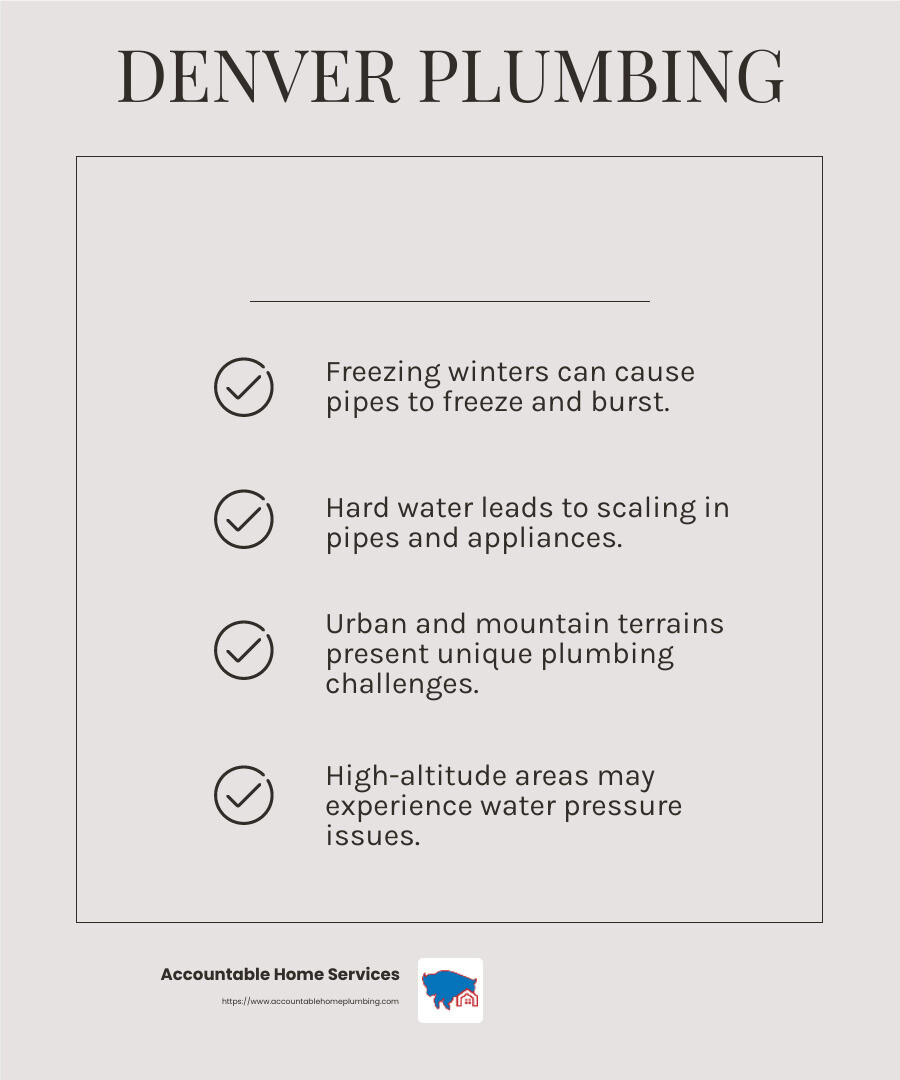 Understanding Denver's Plumbing Needs - denver co plumbing company infographic checklist-light-beige