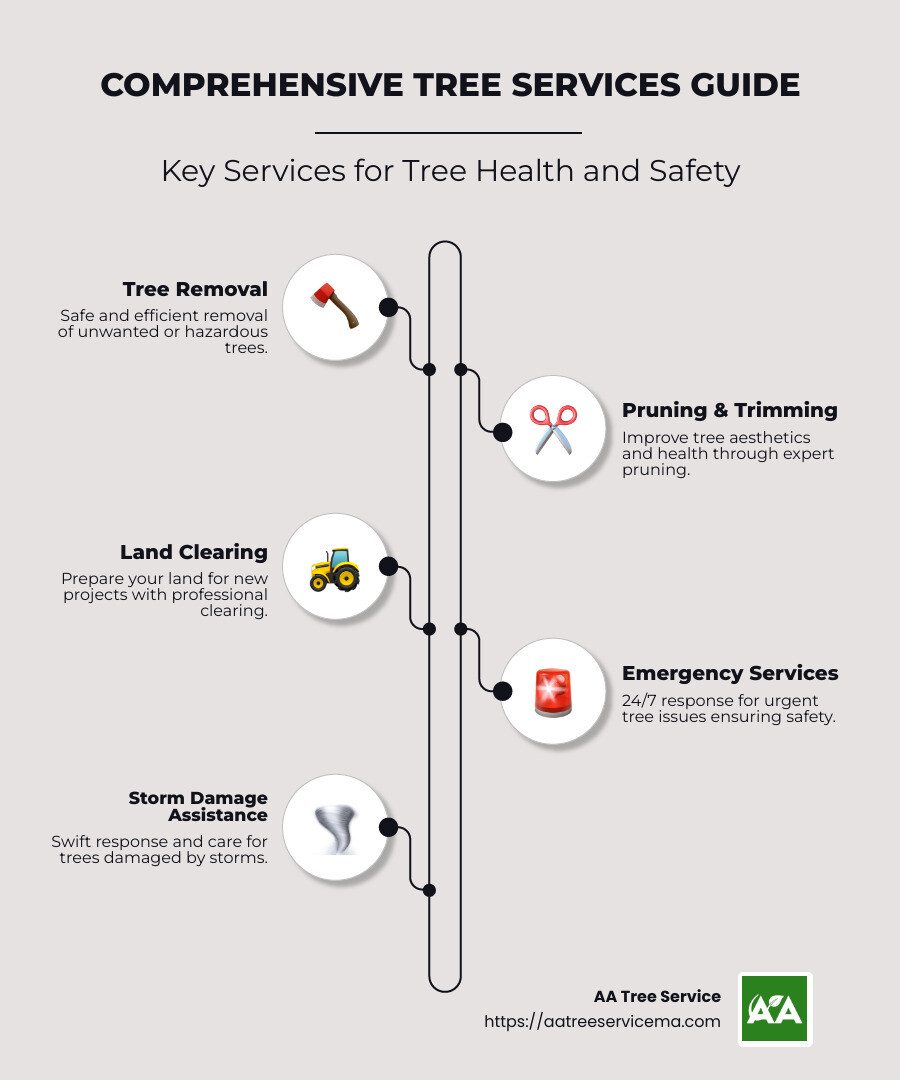 Arlington MA tree service options including removal and pruning - arlington ma tree service infographic infographic-line-5-steps-neat_beige Arlington MA tree service options including removal and pruning - arlington ma tree service infographic infographic-line-5-steps-neat_beige