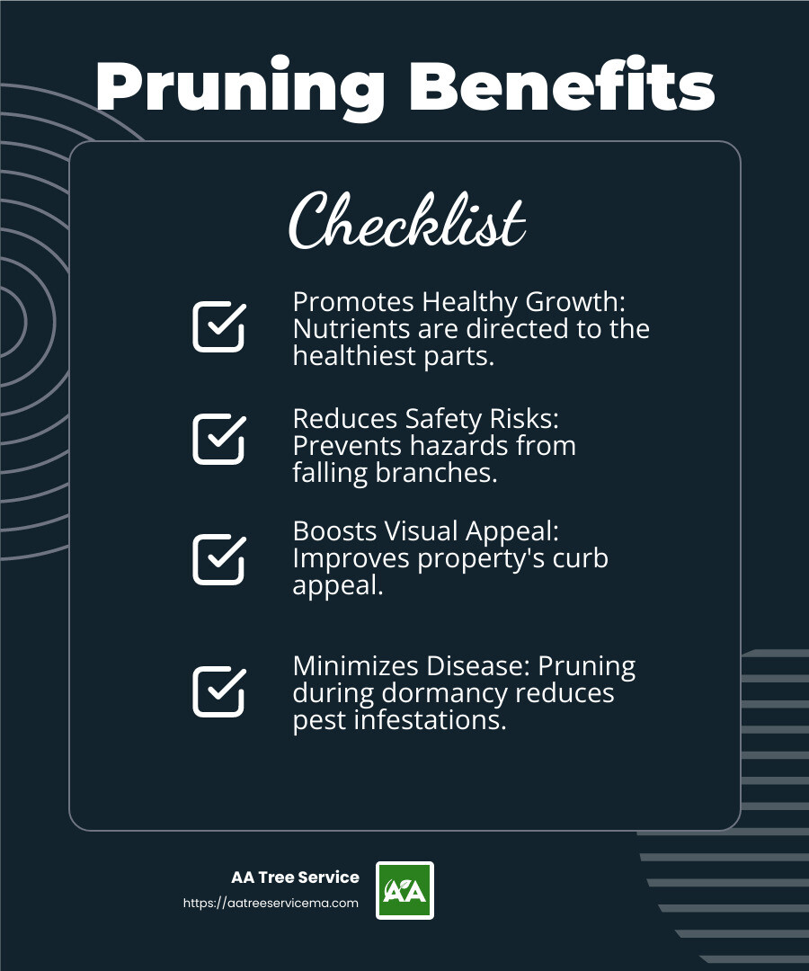 Pruning Benefits Infographic - arlington ma tree service infographic checklist-dark-blue Pruning Benefits Infographic - arlington ma tree service infographic checklist-dark-blue